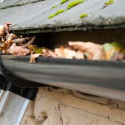 Frome Guttering cleaner