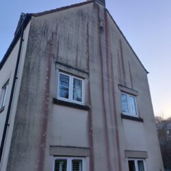 Red Algea growing on the outside render wall of a house in stroud, Gloucestershire. picture before a SoftWash Treatment